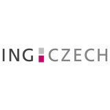 Ing Czech stav